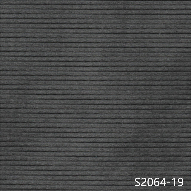 S2064-19